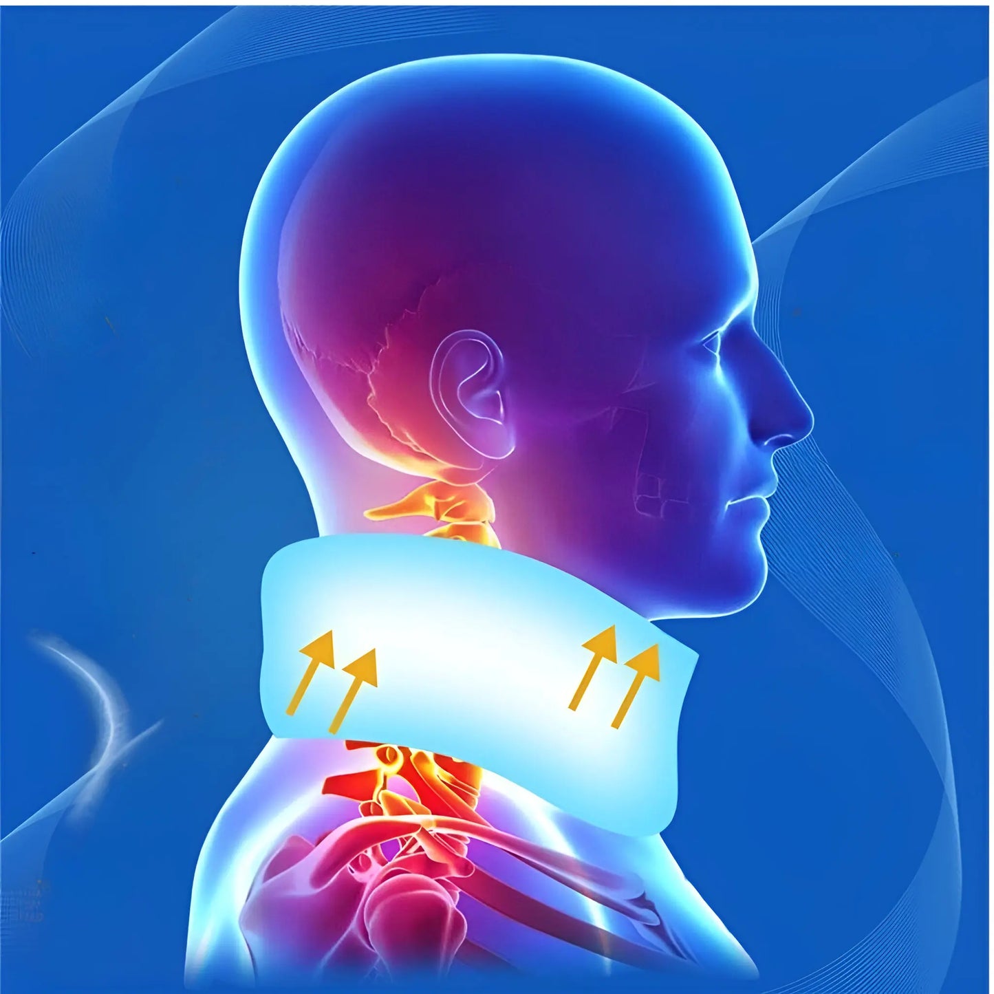Cervicorrect Neck Support